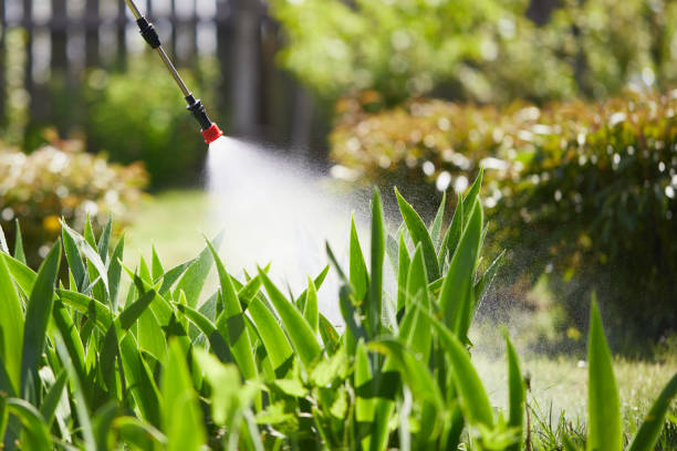 24/7 Emergency Mosquito Control experts in Riverton, NJ